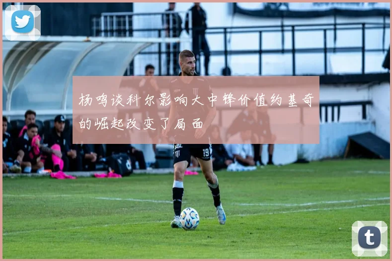 杨鸣谈科尔影响大中锋价值约基奇的崛起改变了局面